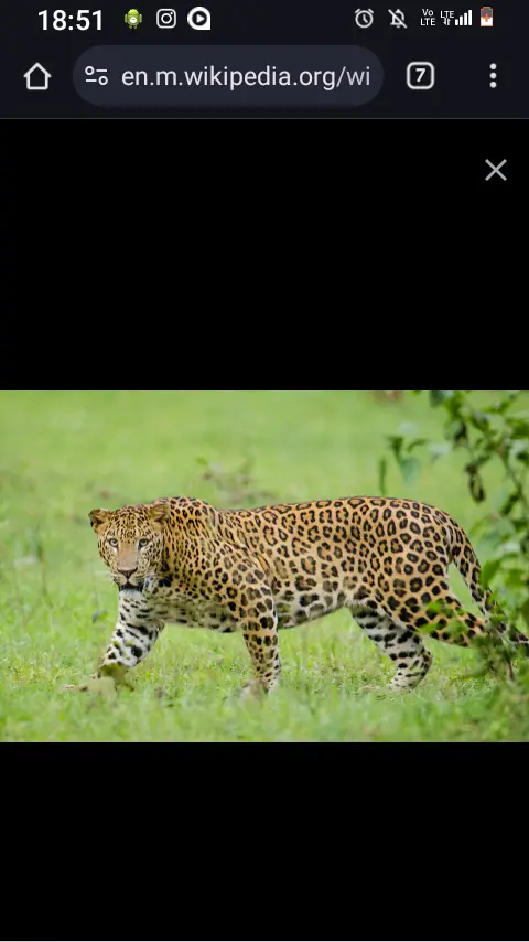 SALE. Tourism in Rwanda