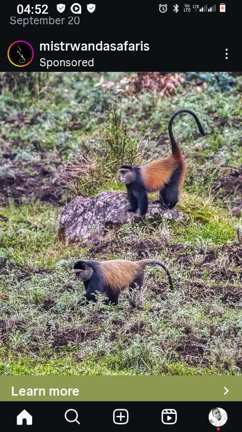 SALE. Tourism in Rwanda — photo 5