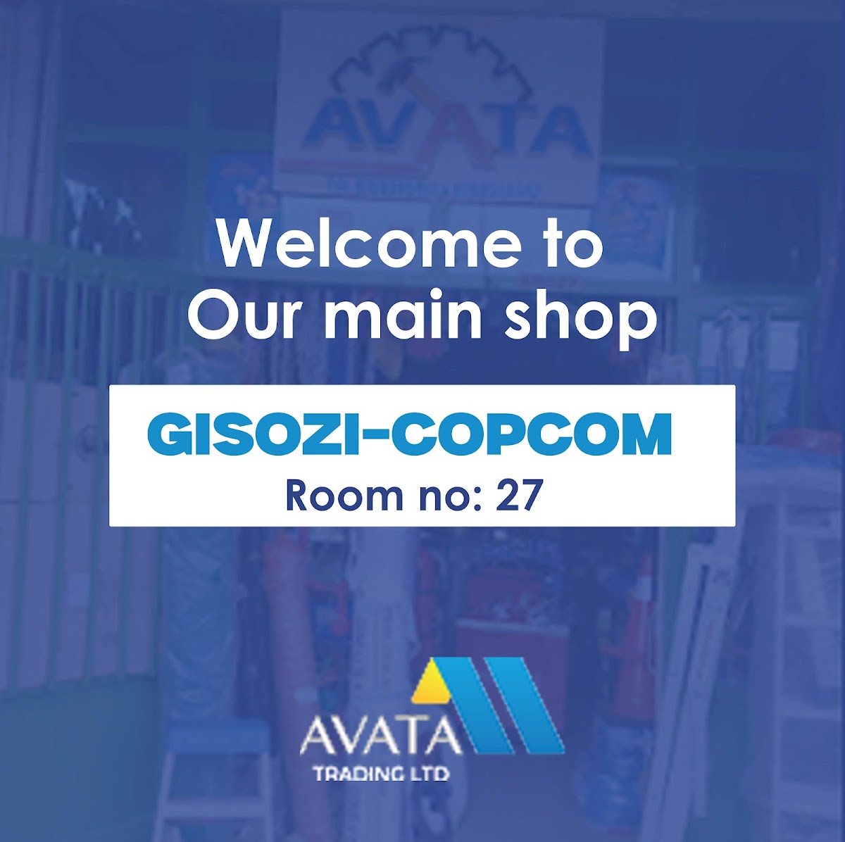 Avata Ltd Shop